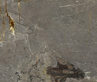 Керамогранит Stone Alpino 1200х2800х6 мм, упаковка 3.36 м2